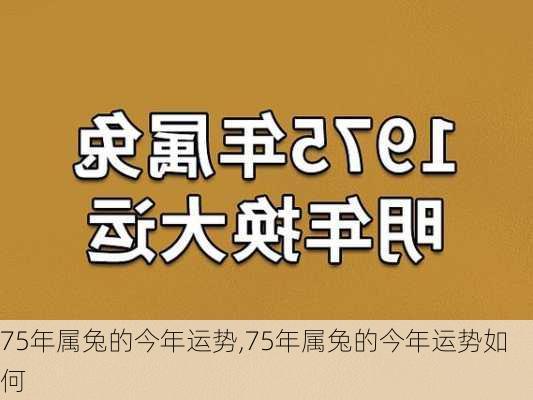 75年属兔的今年运势,75年属兔的今年运势如何