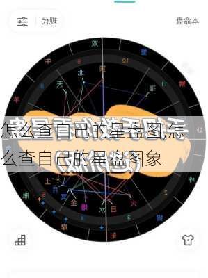 怎么查自己的星盘图,怎么查自己的星盘图象