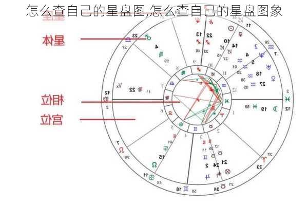 怎么查自己的星盘图,怎么查自己的星盘图象