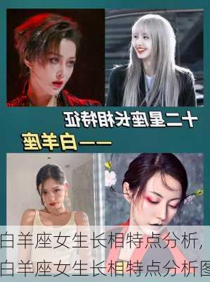 白羊座女生长相特点分析,白羊座女生长相特点分析图