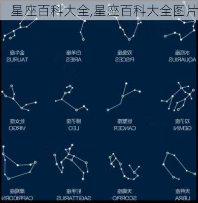 星座百科大全,星座百科大全图片