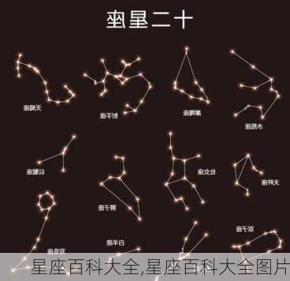 星座百科大全,星座百科大全图片