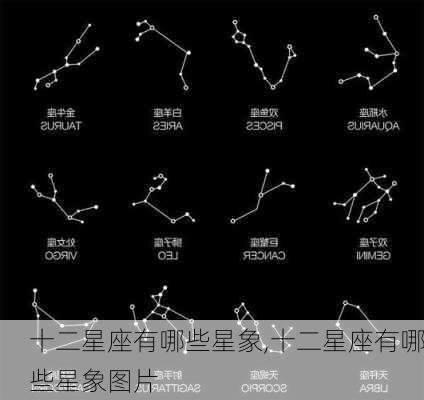 十二星座有哪些星象,十二星座有哪些星象图片