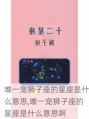 唯一宠狮子座的星座是什么意思,唯一宠狮子座的星座是什么意思啊