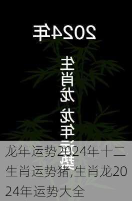 龙年运势2024年十二生肖运势猪,生肖龙2024年运势大全