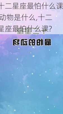 十二星座最怕什么课 动物是什么,十二星座最怕什么课?