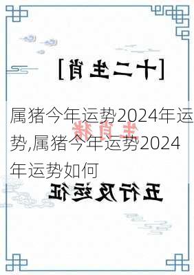 属猪今年运势2024年运势,属猪今年运势2024年运势如何