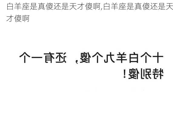 白羊座是真傻还是天才傻啊,白羊座是真傻还是天才傻啊