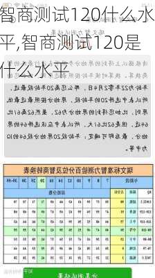 智商测试120什么水平,智商测试120是什么水平