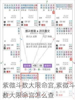 紫微斗数大限命宫,紫微斗数大限命宫怎么查