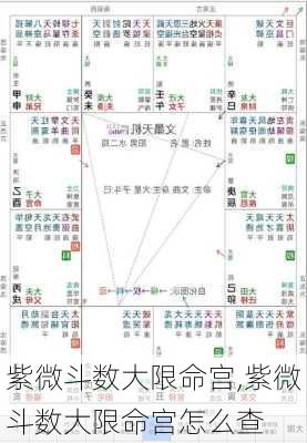 紫微斗数大限命宫,紫微斗数大限命宫怎么查