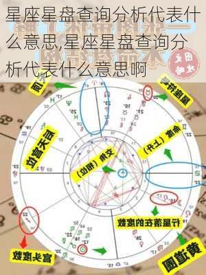 星座星盘查询分析代表什么意思,星座星盘查询分析代表什么意思啊