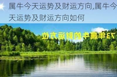 属牛今天运势及财运方向,属牛今天运势及财运方向如何