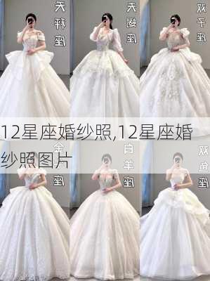 12星座婚纱照,12星座婚纱照图片