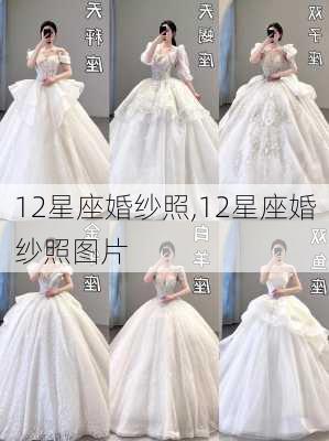 12星座婚纱照,12星座婚纱照图片