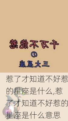 惹了才知道不好惹的星座是什么,惹了才知道不好惹的星座是什么意思