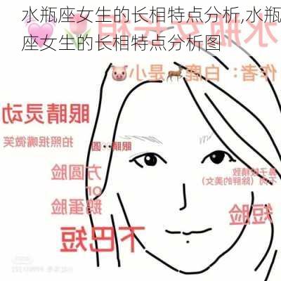 水瓶座女生的长相特点分析,水瓶座女生的长相特点分析图