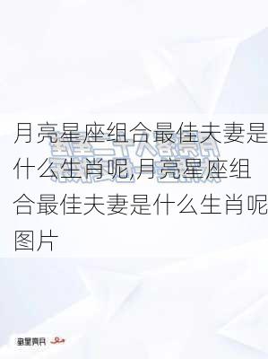 月亮星座组合最佳夫妻是什么生肖呢,月亮星座组合最佳夫妻是什么生肖呢图片