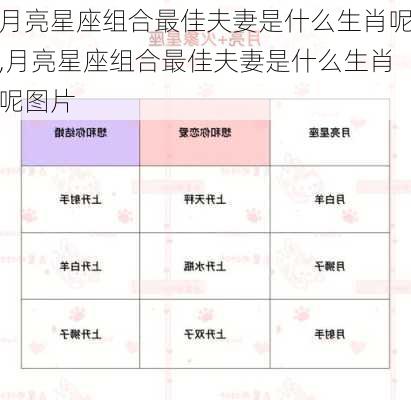 月亮星座组合最佳夫妻是什么生肖呢,月亮星座组合最佳夫妻是什么生肖呢图片