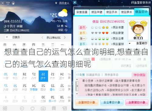 想查查自己的运气怎么查询明细,想查查自己的运气怎么查询明细呢