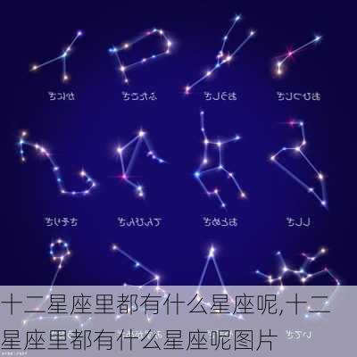 十二星座里都有什么星座呢,十二星座里都有什么星座呢图片