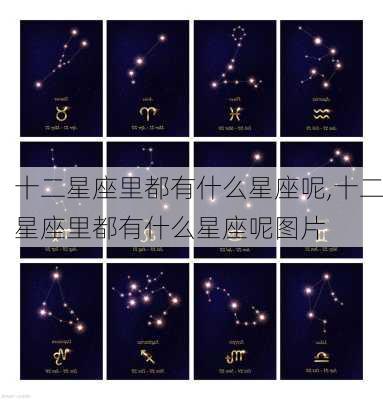 十二星座里都有什么星座呢,十二星座里都有什么星座呢图片