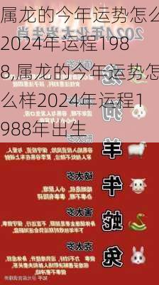 属龙的今年运势怎么样2024年运程1988,属龙的今年运势怎么样2024年运程1988年出生