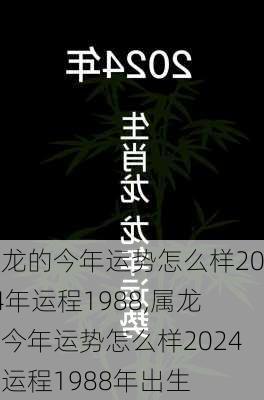 属龙的今年运势怎么样2024年运程1988,属龙的今年运势怎么样2024年运程1988年出生