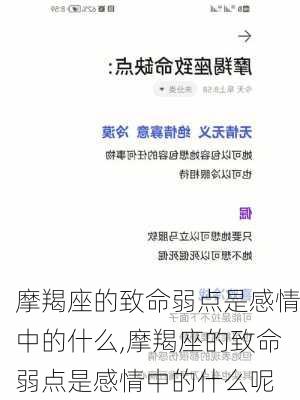 摩羯座的致命弱点是感情中的什么,摩羯座的致命弱点是感情中的什么呢