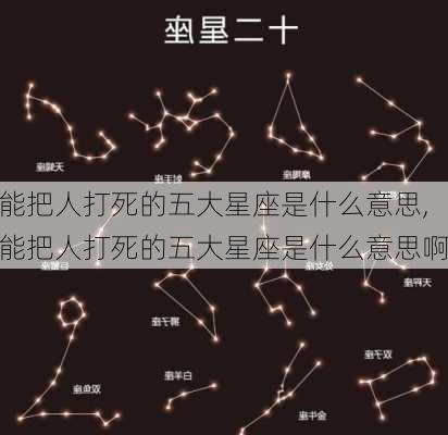 能把人打死的五大星座是什么意思,能把人打死的五大星座是什么意思啊