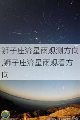 狮子座流星雨观测方向,狮子座流星雨观看方向