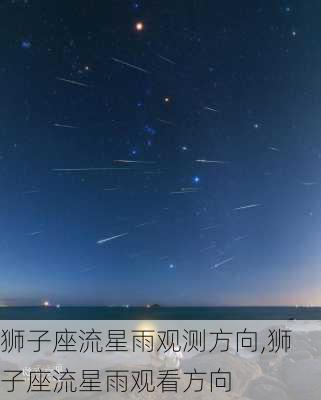 狮子座流星雨观测方向,狮子座流星雨观看方向