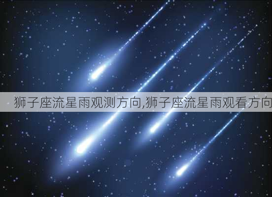 狮子座流星雨观测方向,狮子座流星雨观看方向