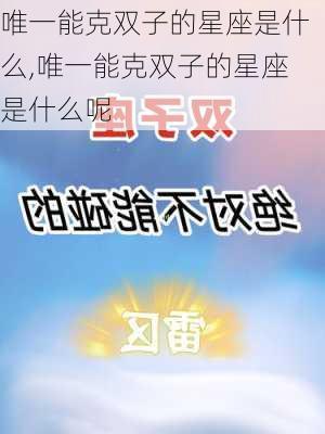 唯一能克双子的星座是什么,唯一能克双子的星座是什么呢