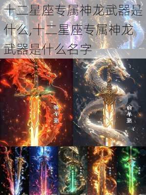 十二星座专属神龙武器是什么,十二星座专属神龙武器是什么名字