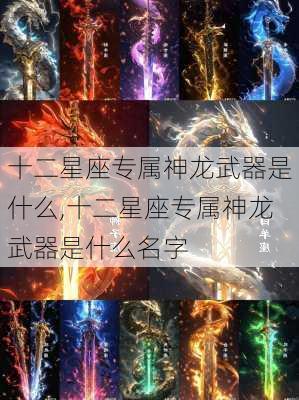 十二星座专属神龙武器是什么,十二星座专属神龙武器是什么名字