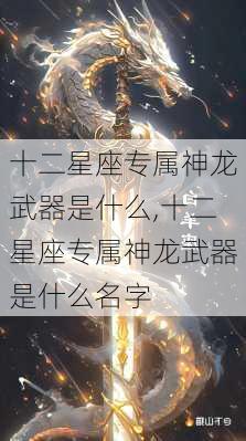 十二星座专属神龙武器是什么,十二星座专属神龙武器是什么名字