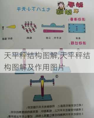 天平秤结构图解,天平秤结构图解及作用图片