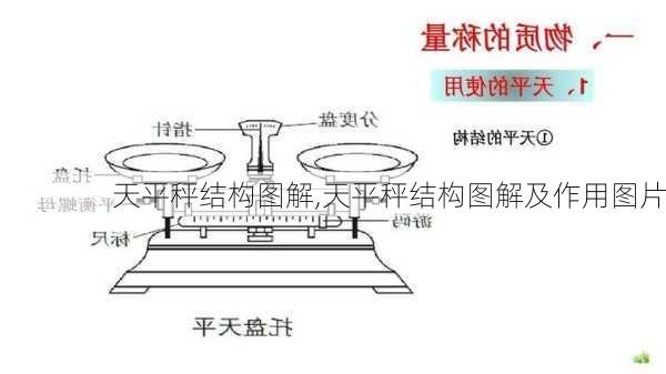 天平秤结构图解,天平秤结构图解及作用图片