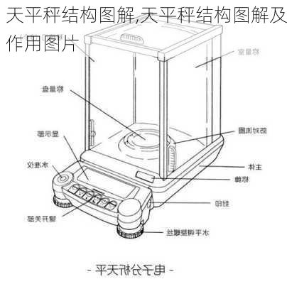 天平秤结构图解,天平秤结构图解及作用图片