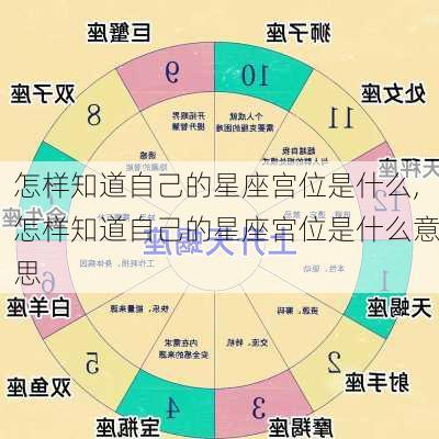 怎样知道自己的星座宫位是什么,怎样知道自己的星座宫位是什么意思