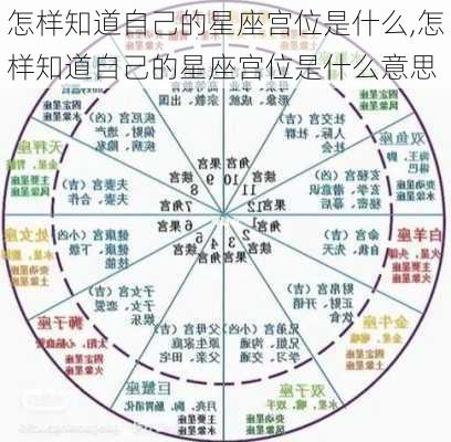 怎样知道自己的星座宫位是什么,怎样知道自己的星座宫位是什么意思