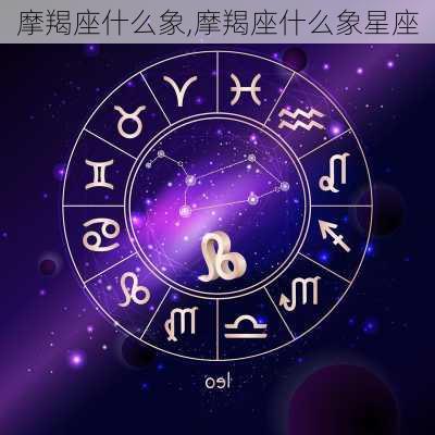 摩羯座什么象,摩羯座什么象星座