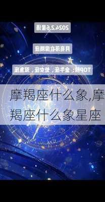 摩羯座什么象,摩羯座什么象星座