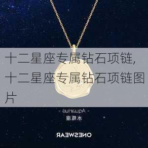 十二星座专属钻石项链,十二星座专属钻石项链图片