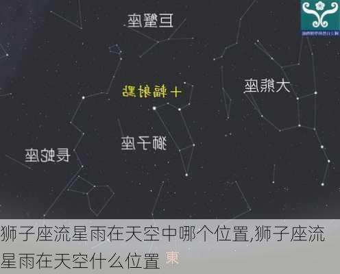 狮子座流星雨在天空中哪个位置,狮子座流星雨在天空什么位置