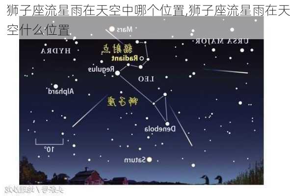 狮子座流星雨在天空中哪个位置,狮子座流星雨在天空什么位置