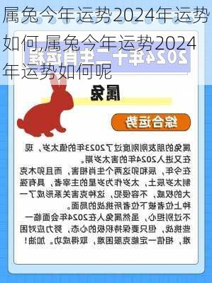 属兔今年运势2024年运势如何,属兔今年运势2024年运势如何呢