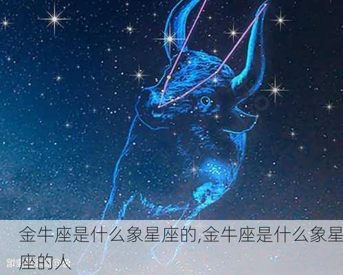 金牛座是什么象星座的,金牛座是什么象星座的人