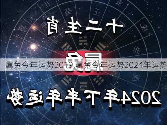 属兔今年运势2019,属兔今年运势2024年运势